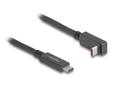 DeLOCK 80034 USB-kabel USB 3.2 Gen 2 (3.1 Gen 2) 1 m USB C 10 Gbit/sek. 60 W Sort