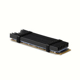 Axagon CLR-M2L6 Computerkølesystem M.2 NVMe SSD, Solid-state drev Køleplade/køler Sort 1 stk