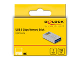 DeLOCK 54006 USB-nøgle 256 GB USB Type-A 3.2 Gen 1 (3.1 Gen 1) Grå