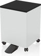 Epson 7112285 printerkabinet og -holder Sort, Hvid