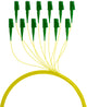 EFB Elektronik FTTH-PIGTAIL-LCA1 InfiniBand og fiberoptisk kabel 2 m 6x LC LC/APC Grøn, Gul