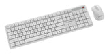 Gembird KBS-WMS-01-W tastatur Mus inkluderet Kontor RF trådløst QWERTY US International Hvid