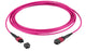EFB Elektronik MTPF12MTPFOM4-2 InfiniBand og fiberoptisk kabel 2 m MTP Violet