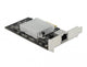 DeLOCK 89528 netværkskort Ethernet 10000 Mbit/s