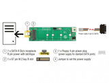 DeLOCK 63917 interface-kort/adapter Intern M.2