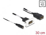 DeLOCK 81385 DisplayPort kabel 0,3 m Sort, Hvid