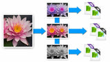 Corel AfterShot Pro 3 Grafisk redaktør Fuld 1 licens(er)