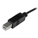 StarTech.com USB2CB1M USB-kabel USB 2.0 1 m USB C USB B 0,48 Gbit/sek. Sort