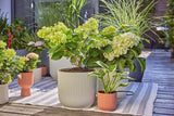 Gardena 13400-20 drypvandingssystem