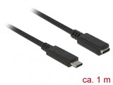 DeLOCK 85533 USB-kabel USB 3.2 Gen 1 (3.1 Gen 1) 1 m USB C 5 Gbit/sek. Sort