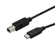 StarTech.com USB2CB3M USB-kabel USB 2.0 3 m USB C USB B 0,48 Gbit/sek. Sort