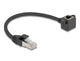 DeLOCK 81040 netværkskabel Sort 0,25 m Cat6 F/UTP (FTP)