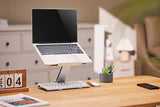 Gembird NBS-D1-03 laptop stativ Sølv 39,6 cm (15.6")