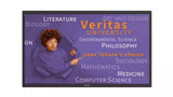 Philips Signage Solutions 32BDL5150I/00 skilte display Digital fladpaneldisplay 80 cm (31.5") Wi-Fi Quad HD Sort Indbygget processer Android
