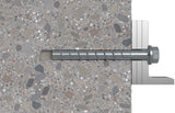 Fischer 536871 skrue/bolt 110 mm 20 stk