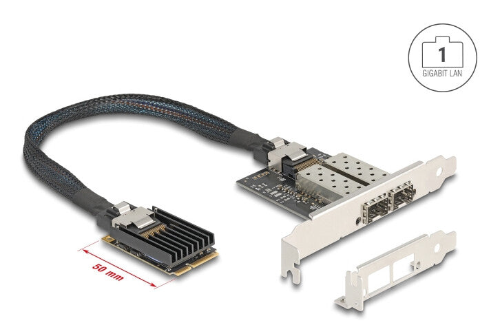 DeLOCK 95281 interface-kort/adapter Intern SFP