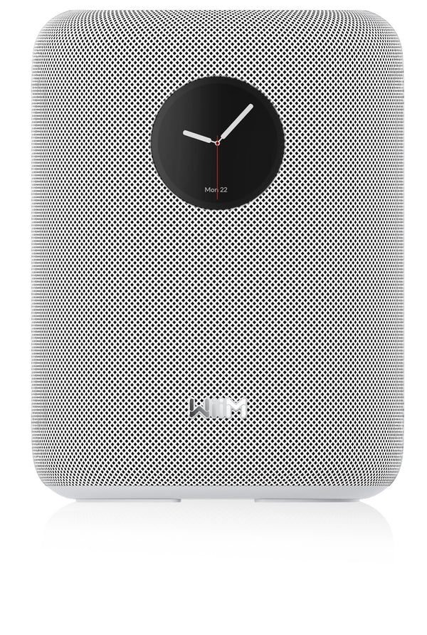 WiiM Sound 2-vejs Hvid Kabel & trådløs 100 W