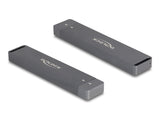 DeLOCK 42021 drevkabinet SSD kabinet Grå M.2