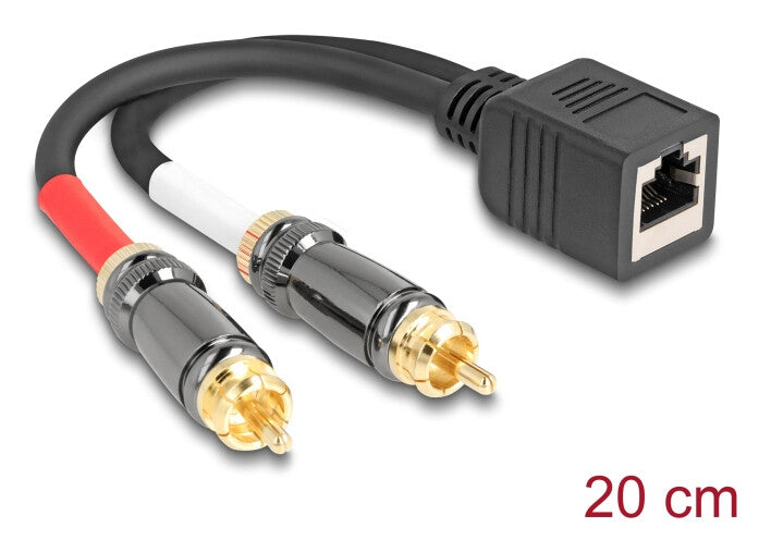 DeLOCK 88172 lydkabel 0,2 m RJ-45 2 x RCA Sort